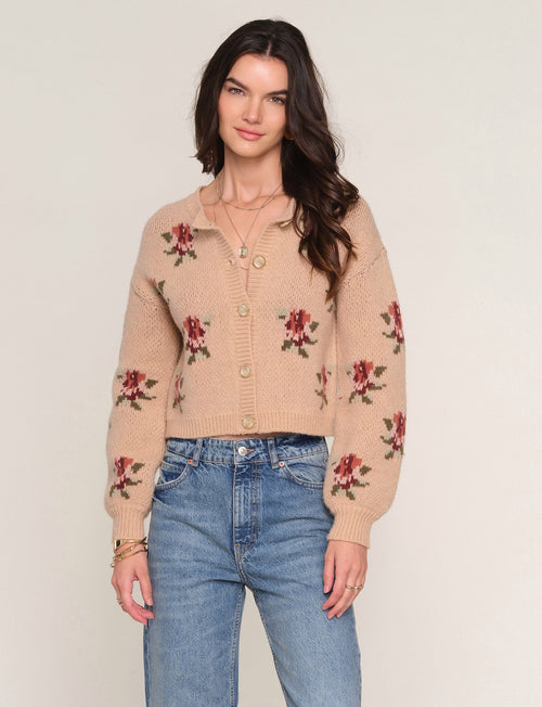 louis cardi